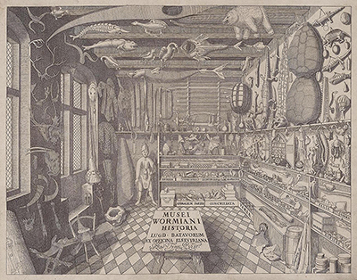 Museum Wormianum catalogue Frontispiece